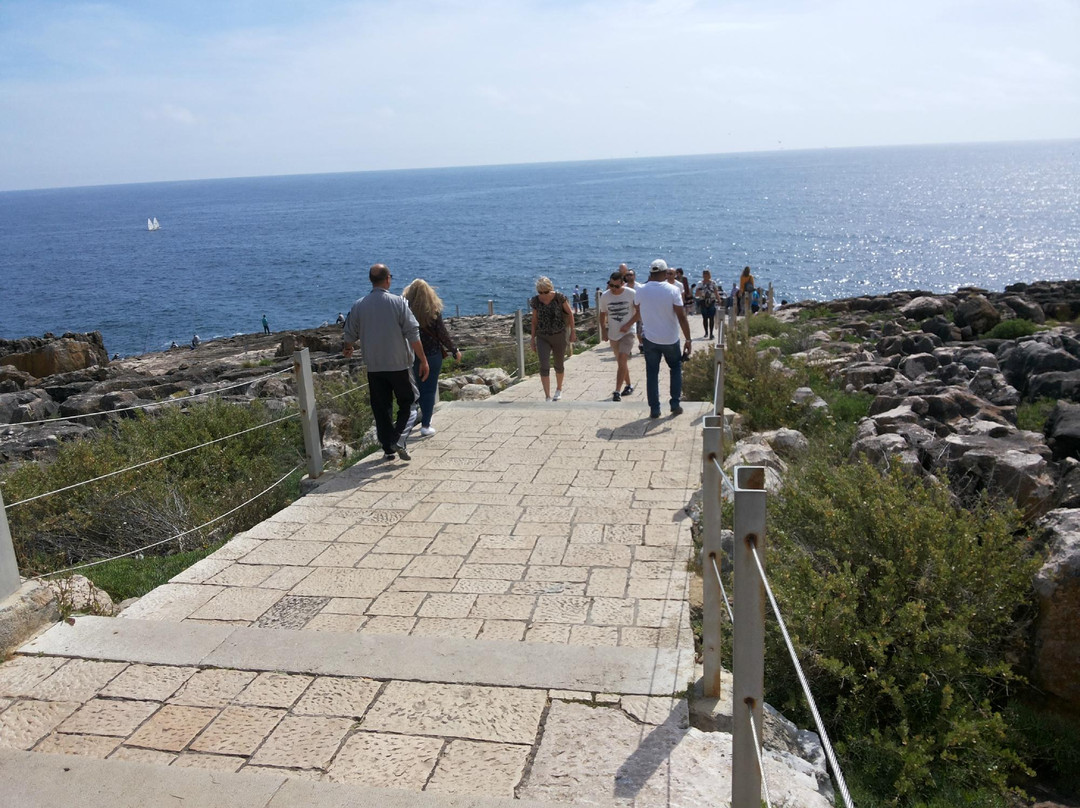 Alpha & Omega Portugal Tours-奥迪韦拉什必去景点