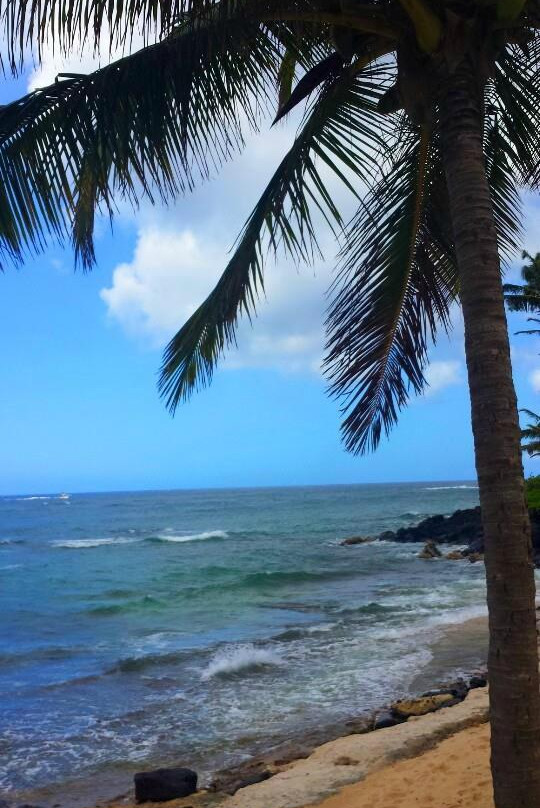 Kalani Kauai-卡拉西奥必去景点