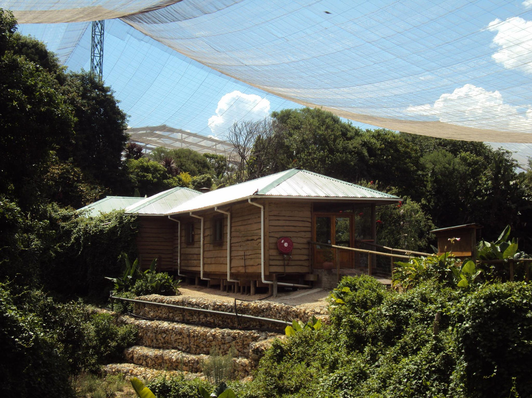 Birds of Eden-The Crags必去景点