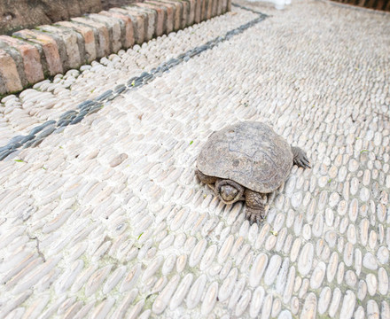 欧洲之星征服者酒店