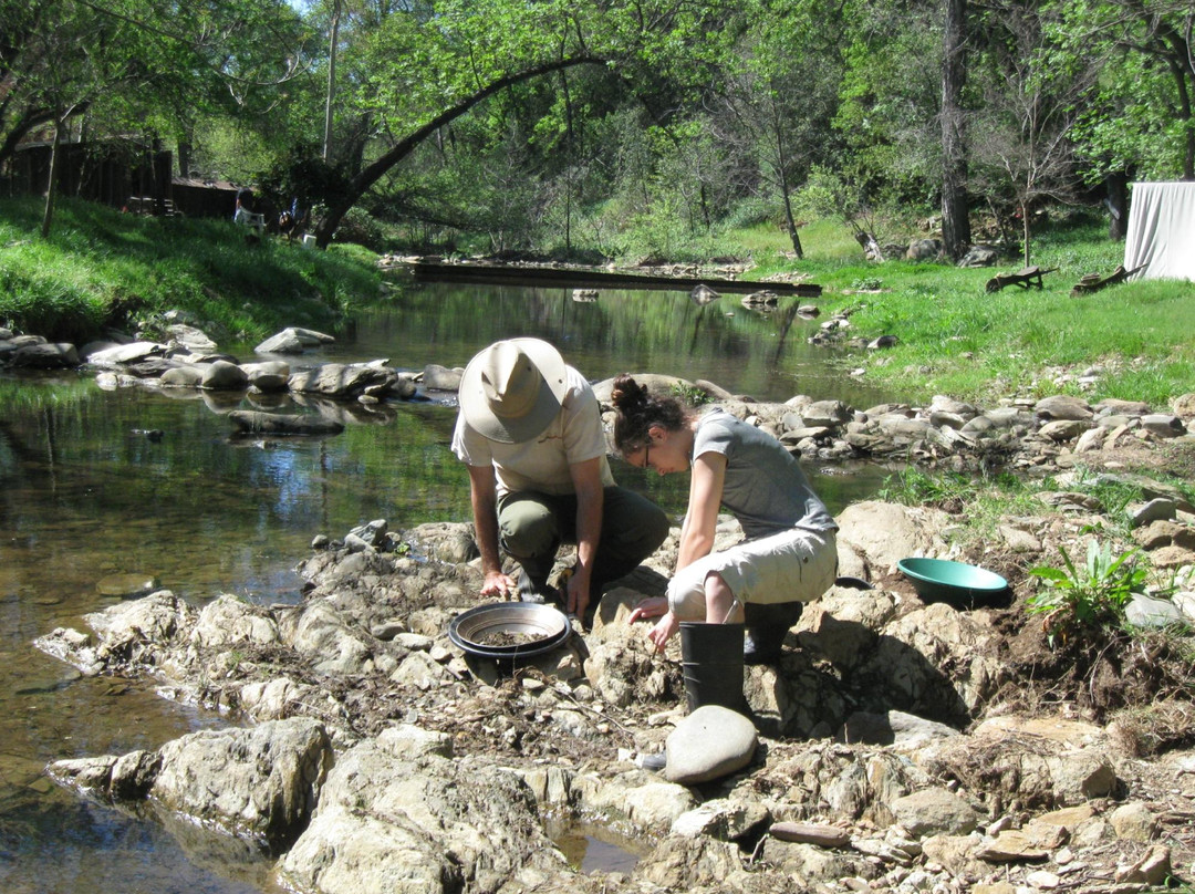 Gold Prospecting Adventures景点图片