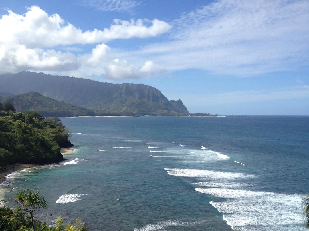 Experience Kauai Tours & Transportation-普林斯维尔必去景点
