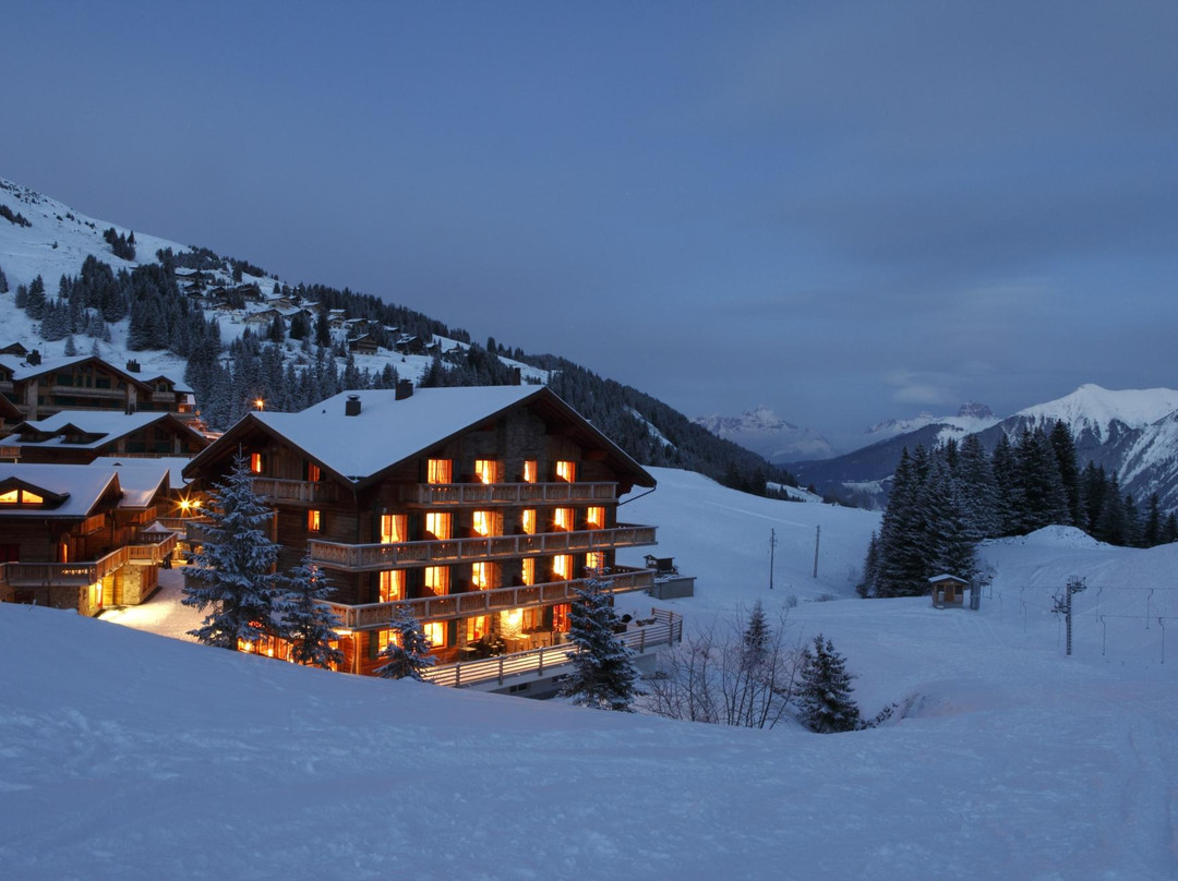 Les Crosets酒店住宿-Mountain Lodge