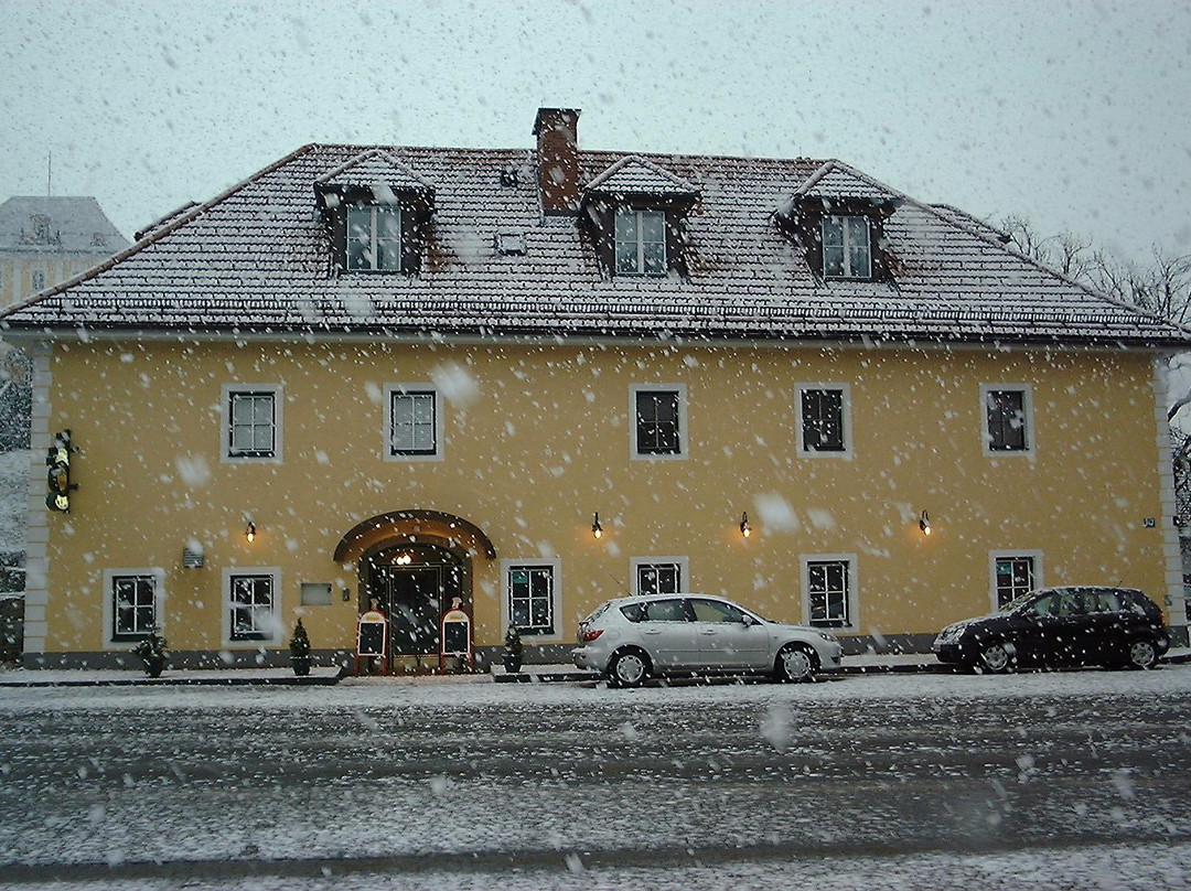 Maria Saal酒店住宿-Gasthof Schlosswirt