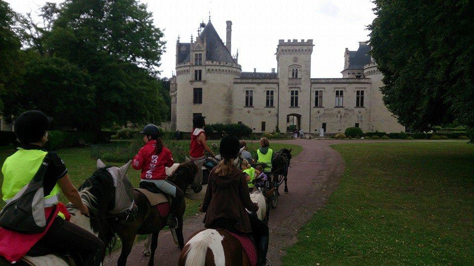 Le Haras des Ouches景点图片