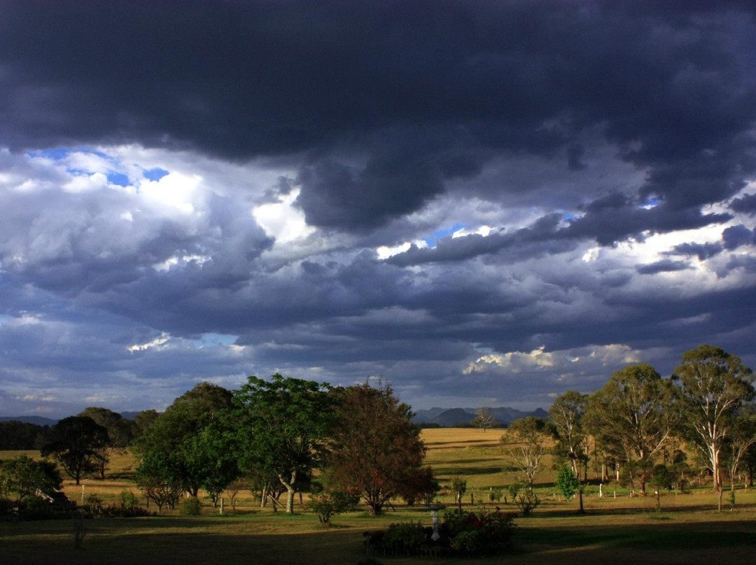 Tallowood Ridge Bed & Breakfast