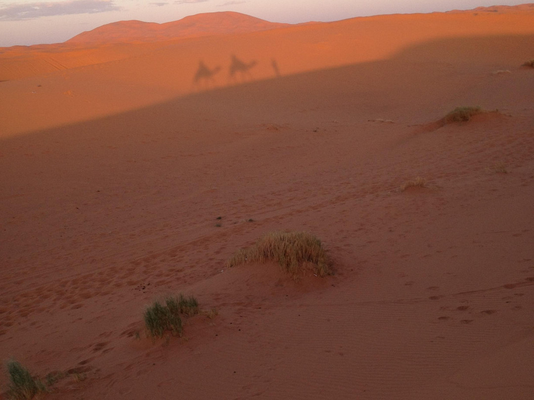 Morocco Atlas Tours - Day Tours-Midelt必去景点