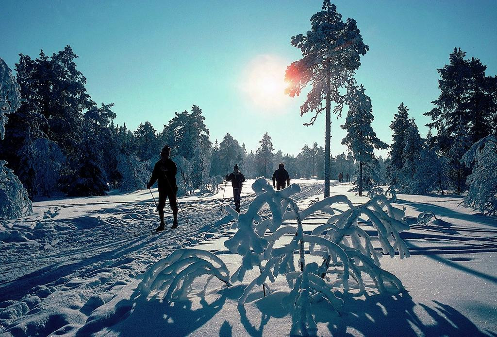 Ski & Guide景点图片