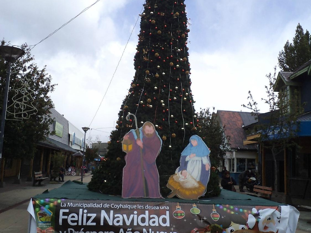 Peatonal Horn-Coyhaique必去景点