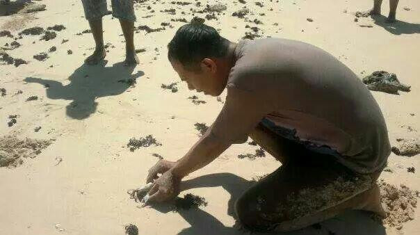 Carolina Beach-巴东必去景点