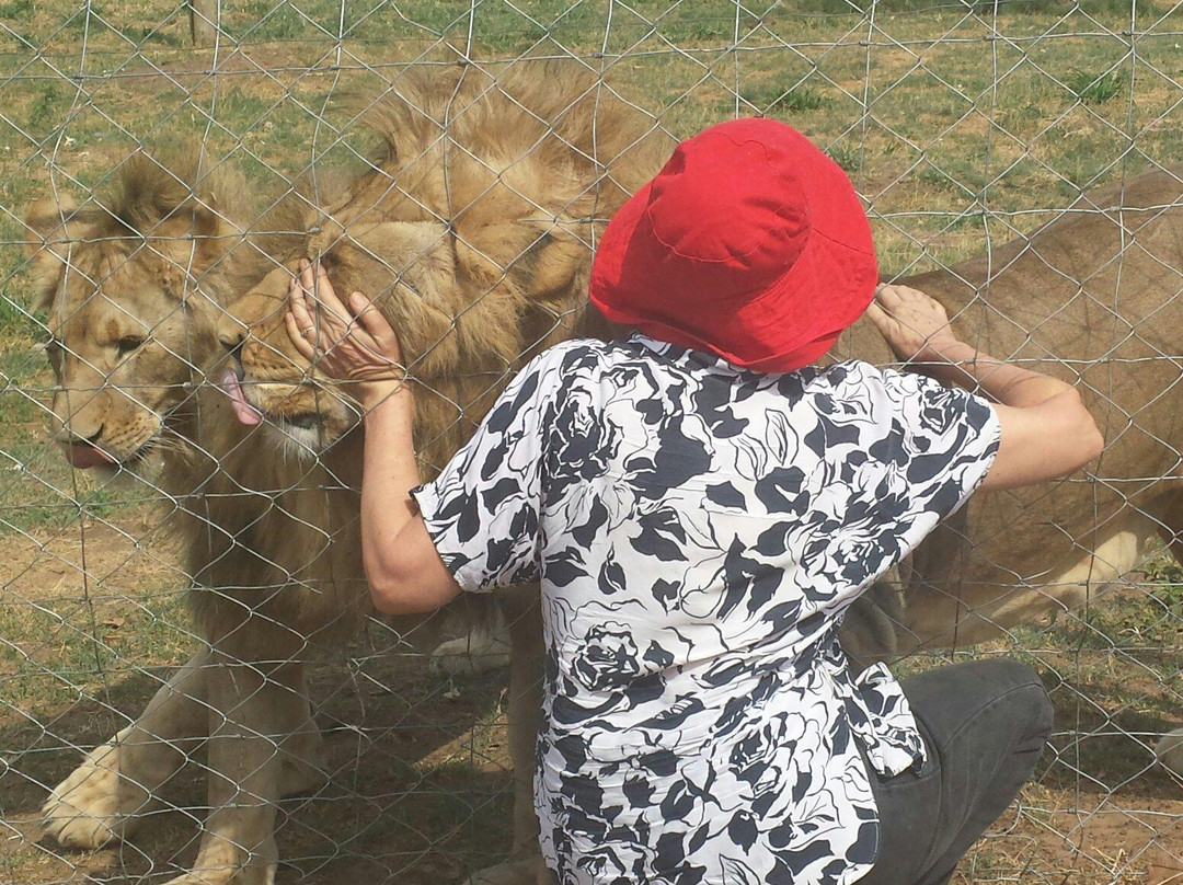 Parays Game Ranch-卢萨卡必去景点