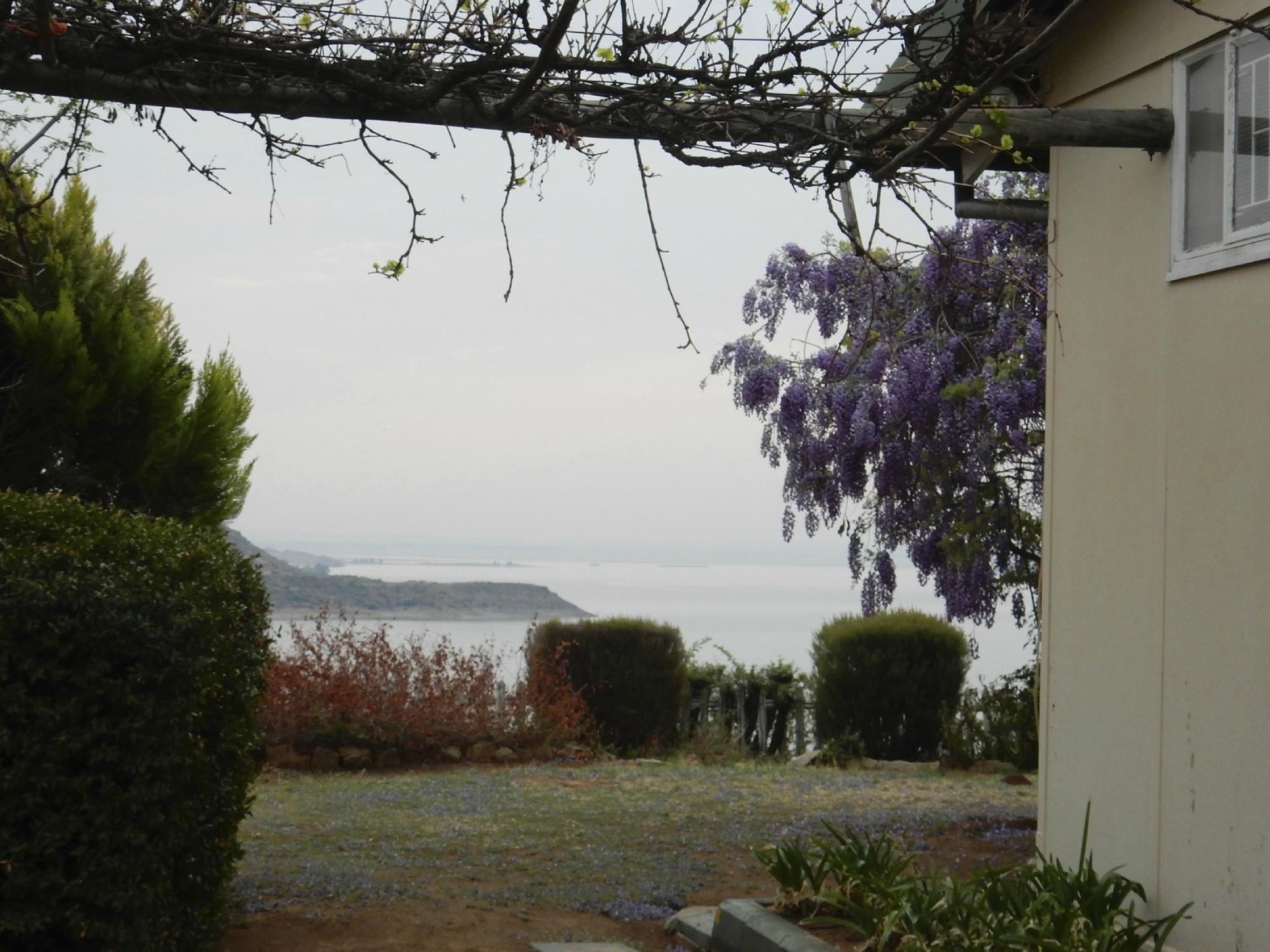 Lakeview Guest House-酒店景观