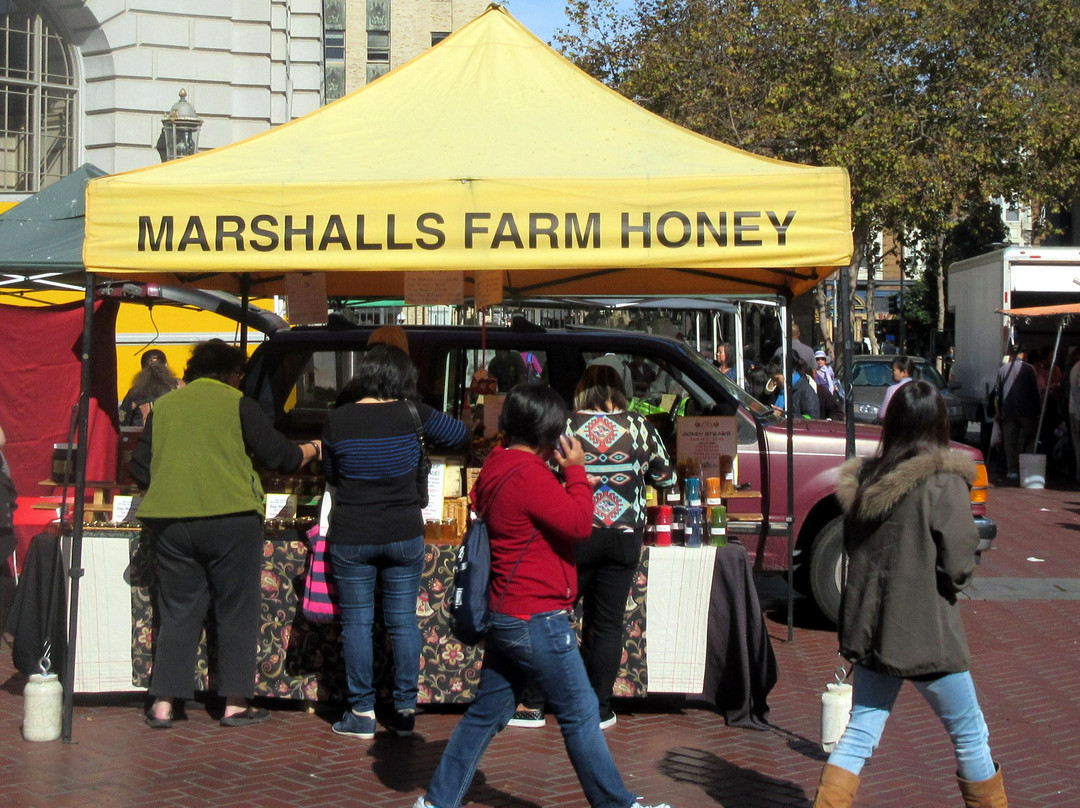 Marshall's Farm景点图片