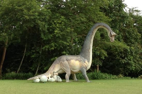 Hlawga Wildlife Park-仰光必去景点