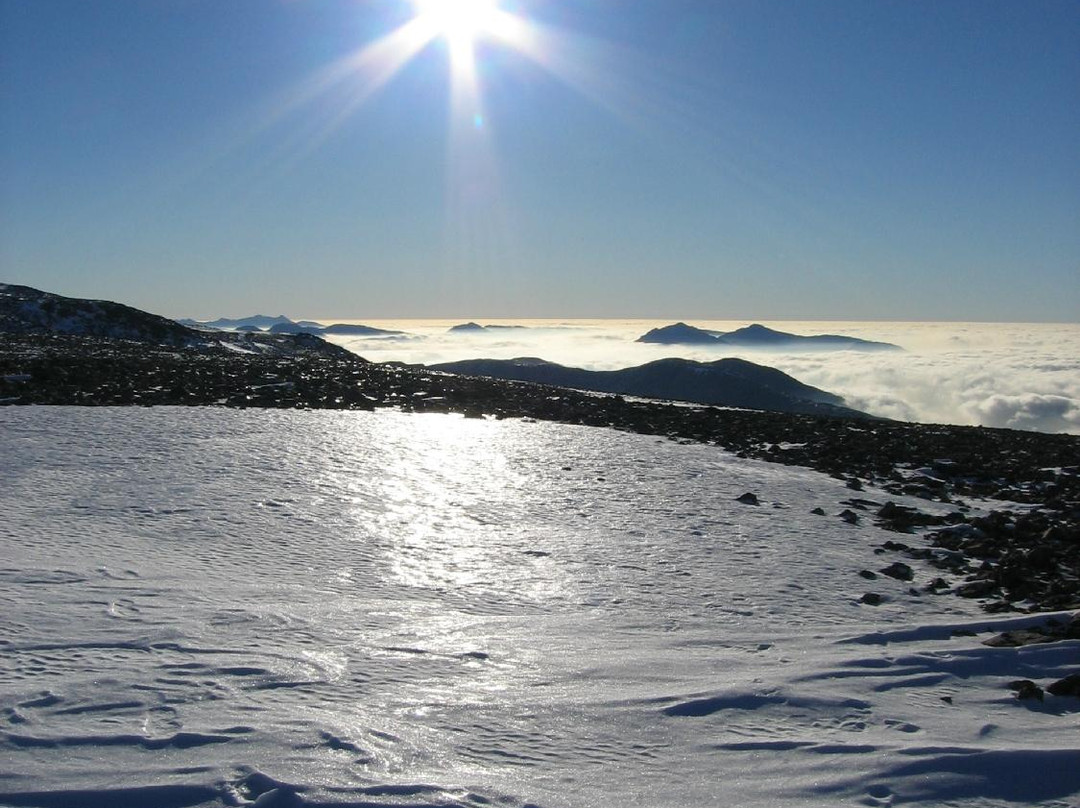 Abacus Mountain Guides景点图片