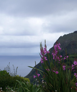 Miradouro da Ponta do Sossego景点门票图片