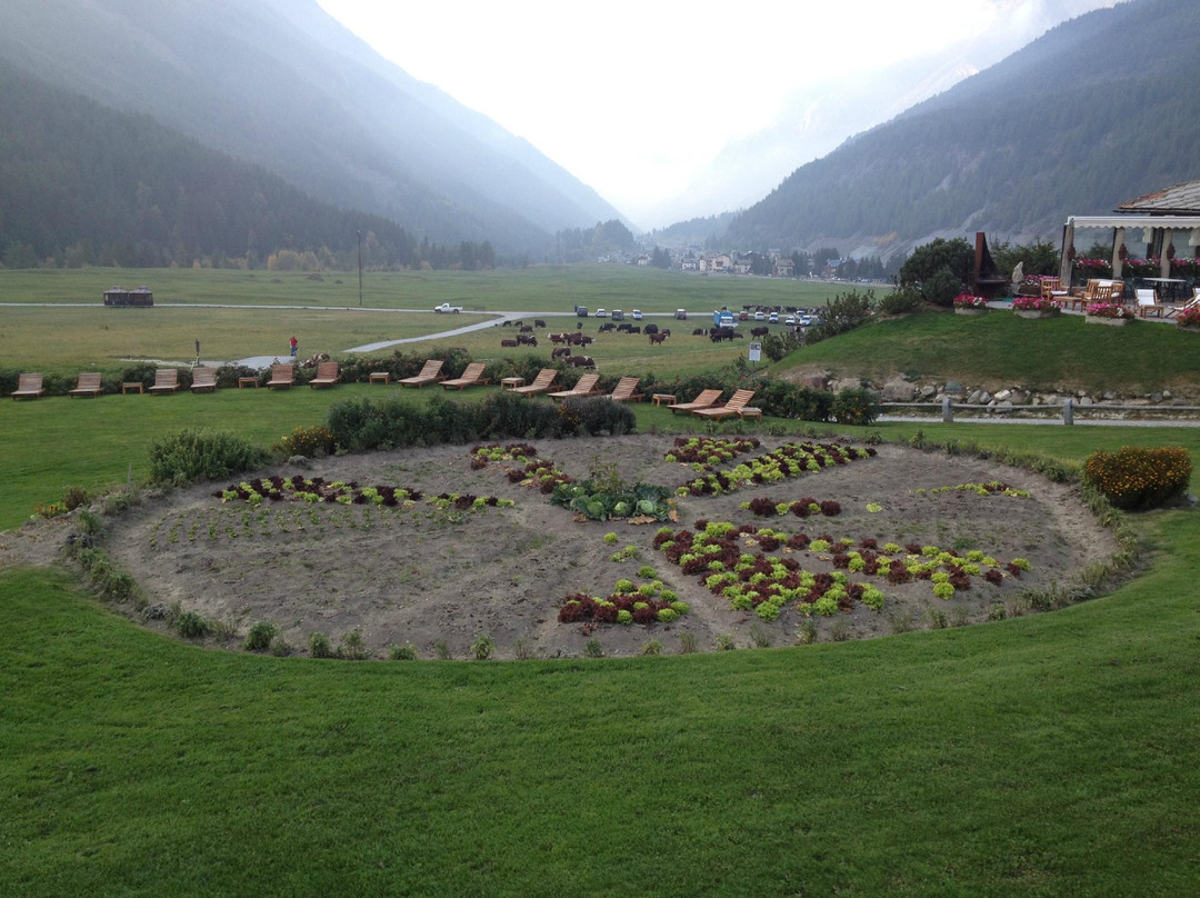 Guide Turistiche di Aosta e Cogne景点图片