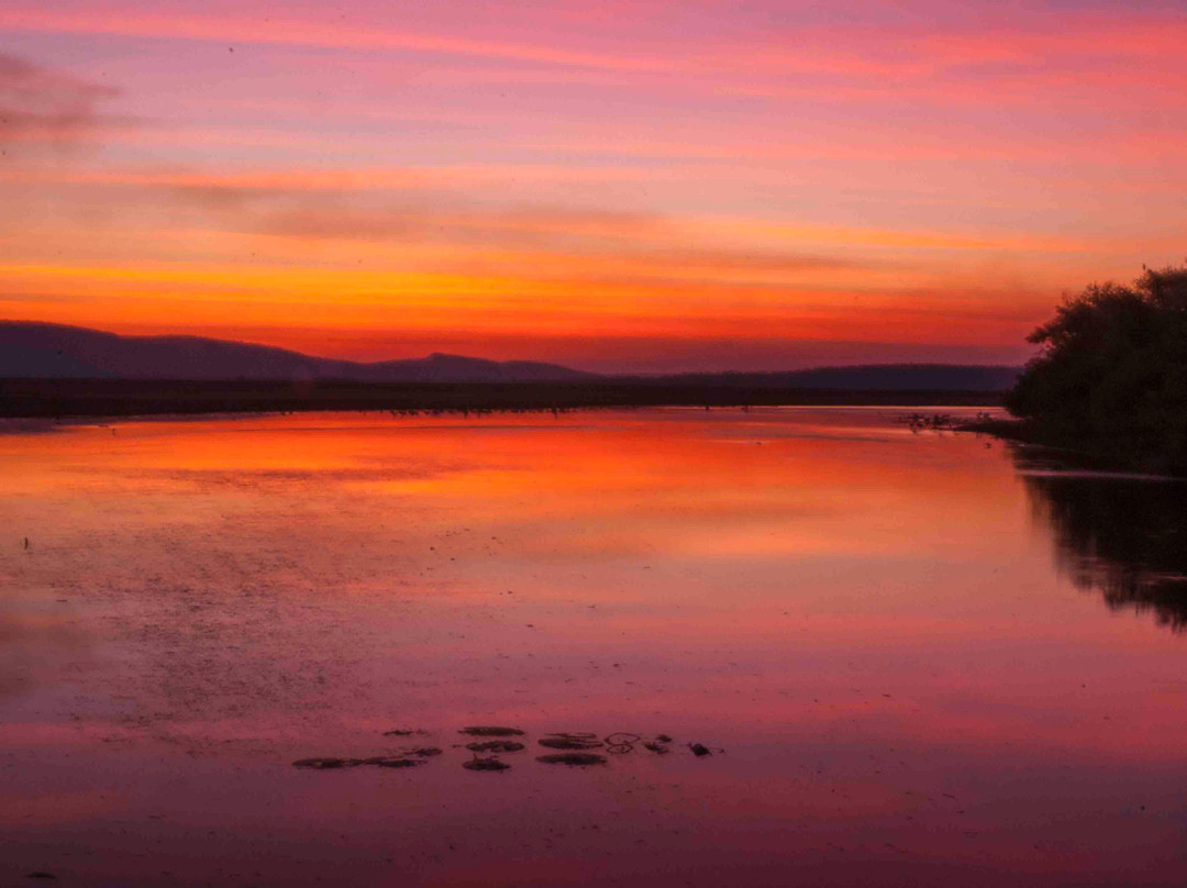 Parry Lagoons Nature Reserve-库努纳拉必去景点