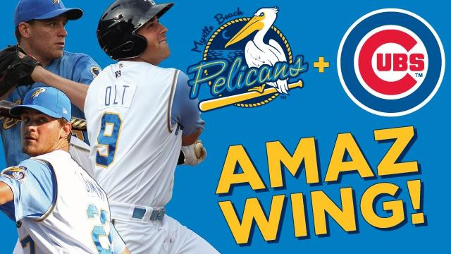 Myrtle Beach Pelicans-美特尔海滩必去景点