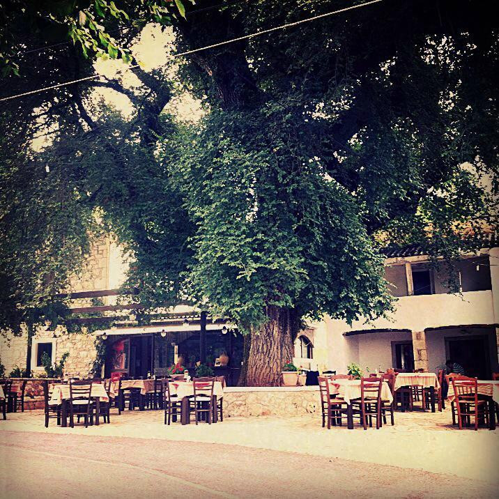 Peritheia餐馆和美食-Oasis Taverna Strinilas