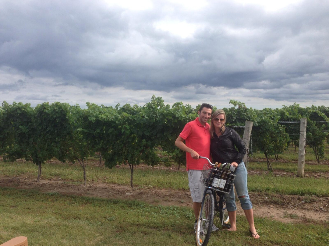 Cattail Creek Winery-滨湖尼亚加拉必去景点