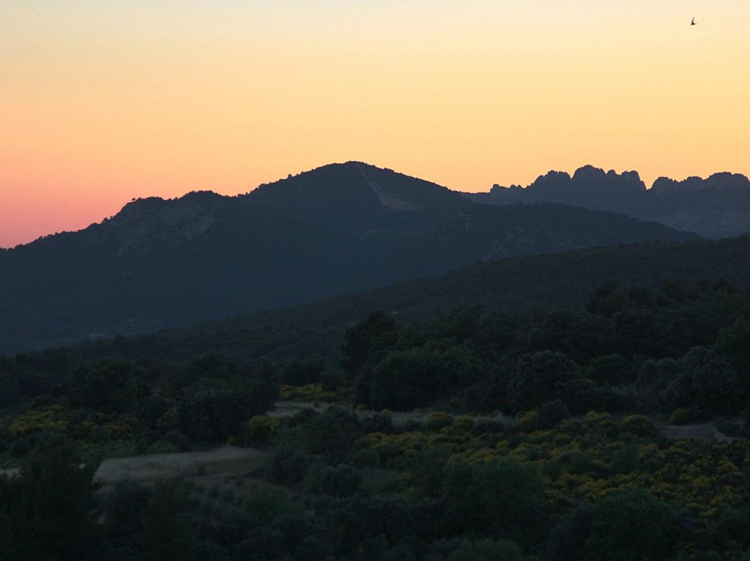 Crillon-le-Brave餐馆和美食-Le saint romain