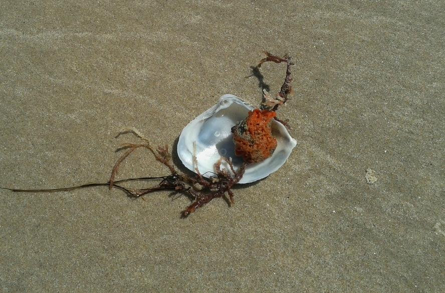 Aldeia de pescadores-Canoa Quebrada必去景点