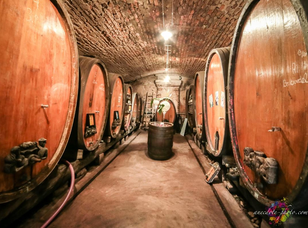 Domaine Hubert METZ景点图片