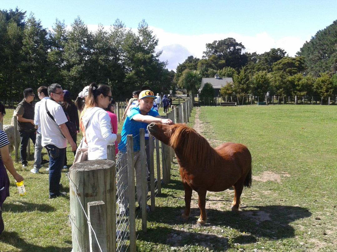 Kahikatea Gardens景点图片