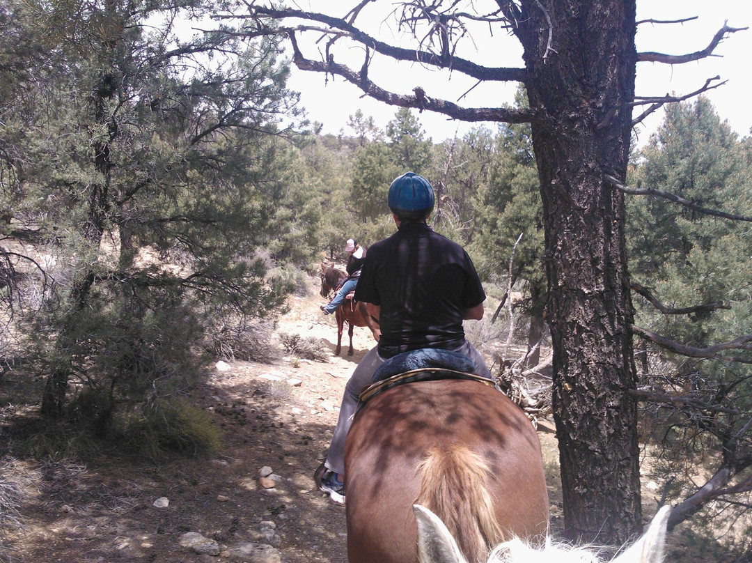 Baldwin Lake Stables-大熊湖必去景点