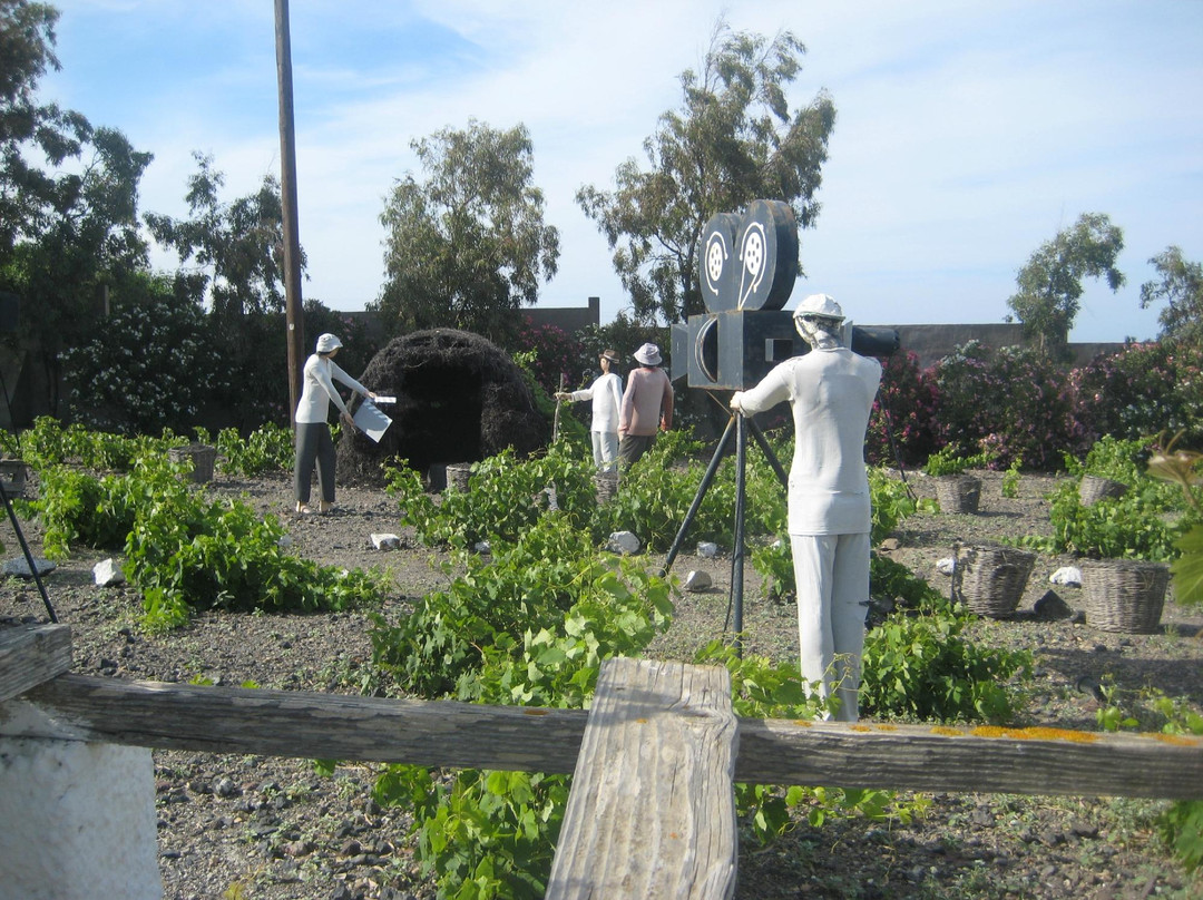 葡萄酒博物馆-Vothonas必去景点