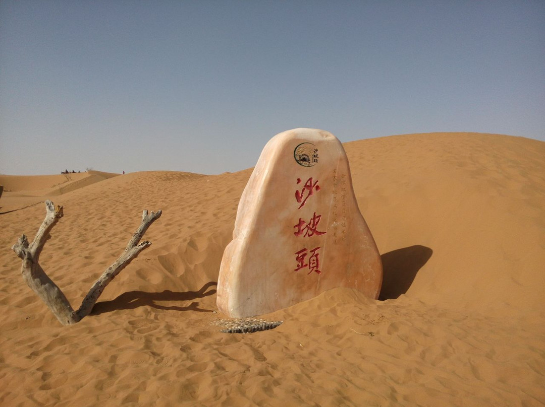 沙坡头旅游区-中卫市必去景点