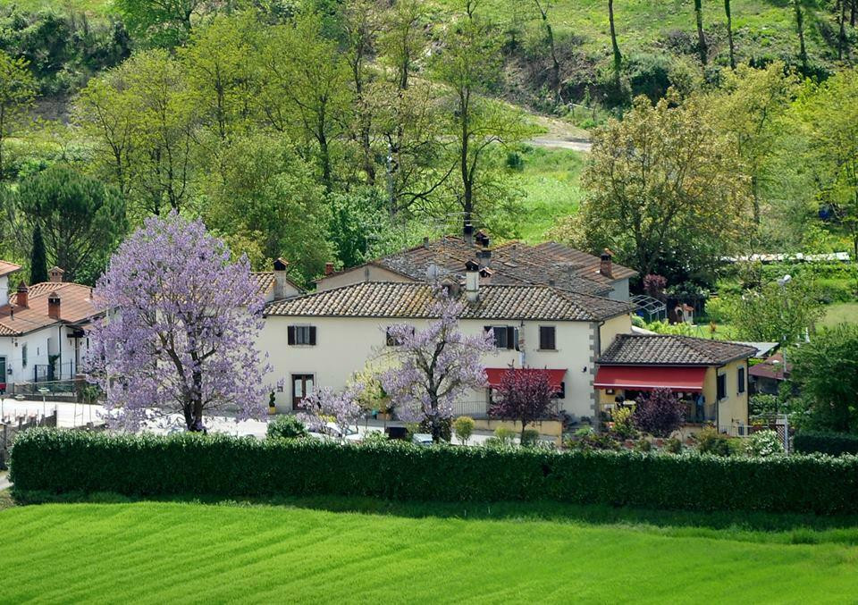 Anghiari餐馆和美食-Vecchia Osteria La Pergola