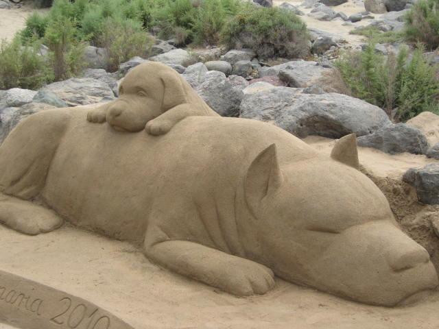 Reserva Natural Especial de Las Dunas de Maspalomas景点图片