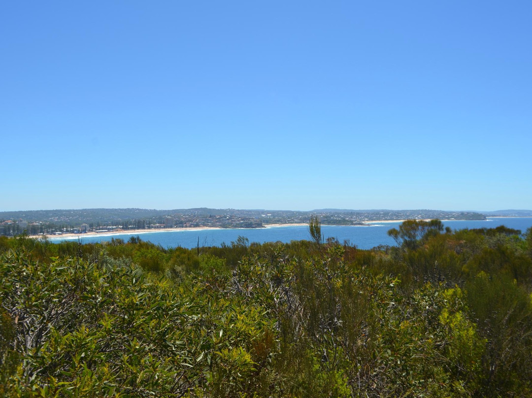 曼利风景区走道-悉尼必去景点