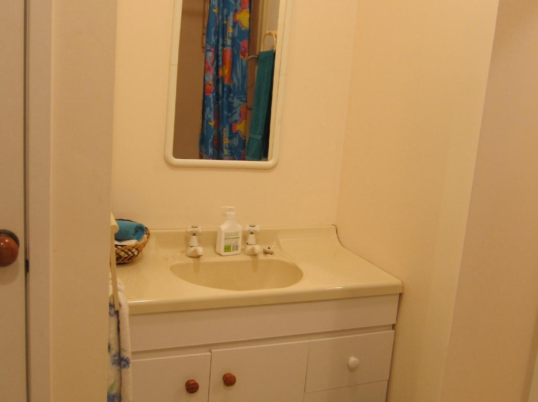 Auntie Dawns Place主图