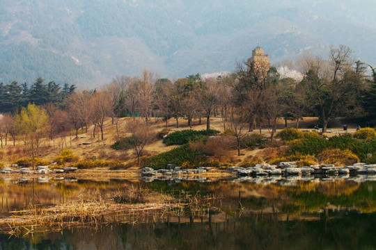 植物园-北京市必去景点