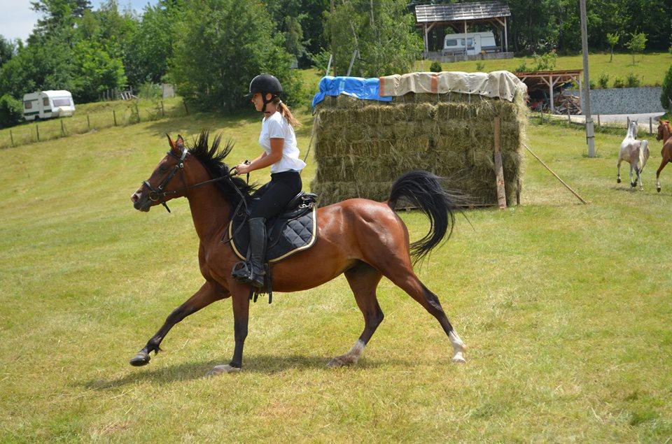 Equestrian Club Djeca Vjetra景点图片
