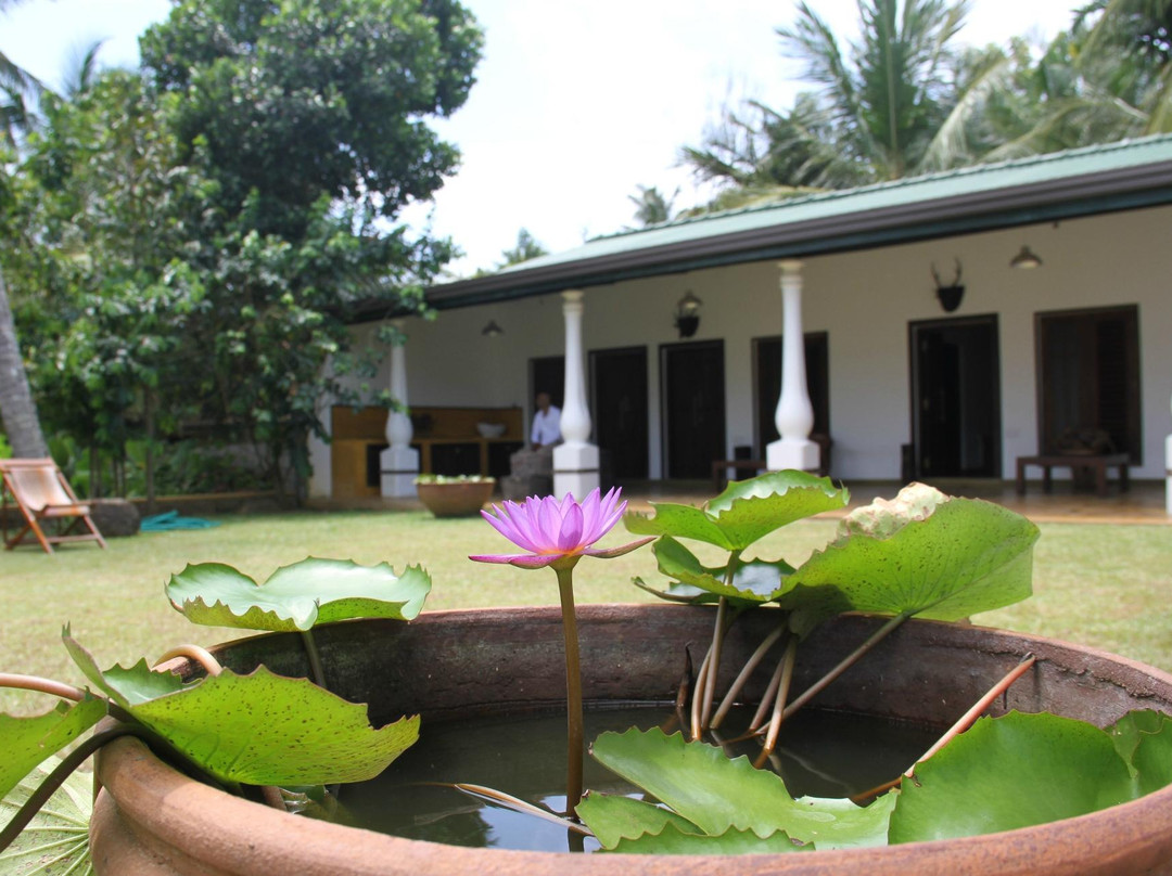 Beliatta酒店住宿-Mahawewa Nature Resort and SPA