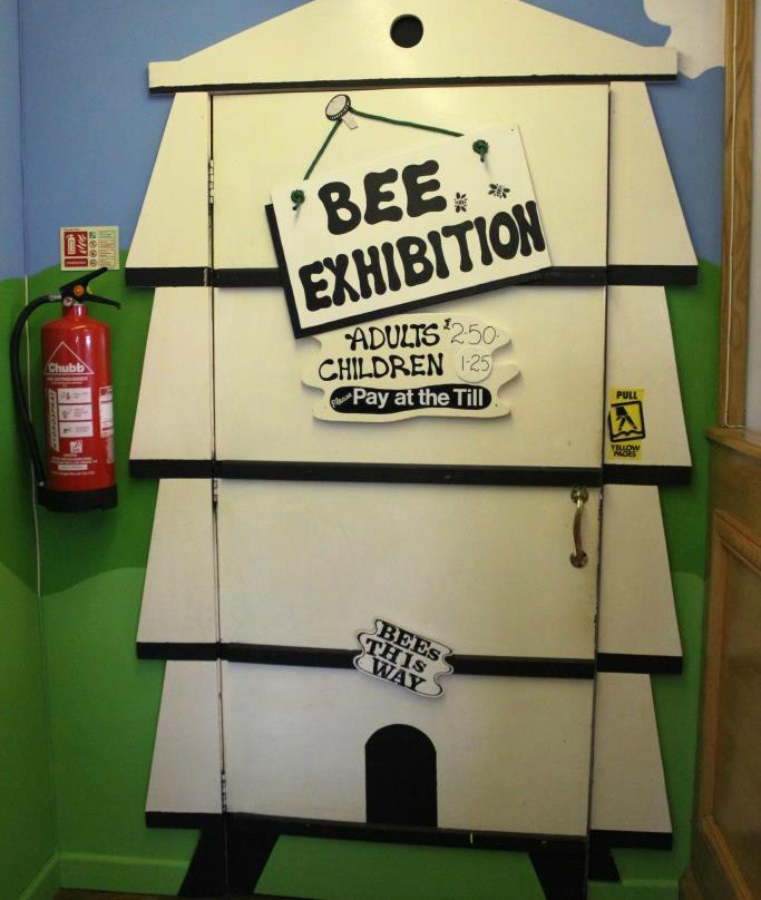 Porteath Bee Centre-Wadebridge必去景点