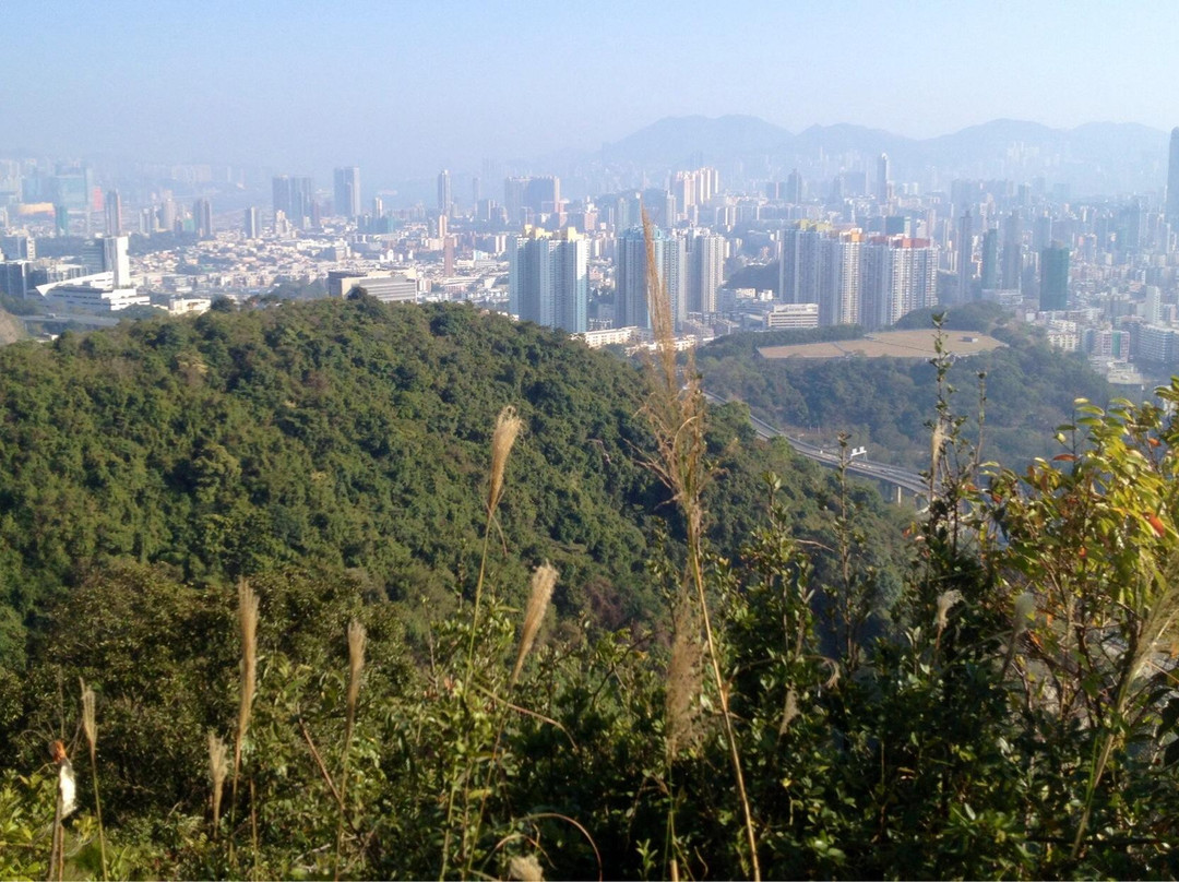 狮子山郊野公园-香港必去景点