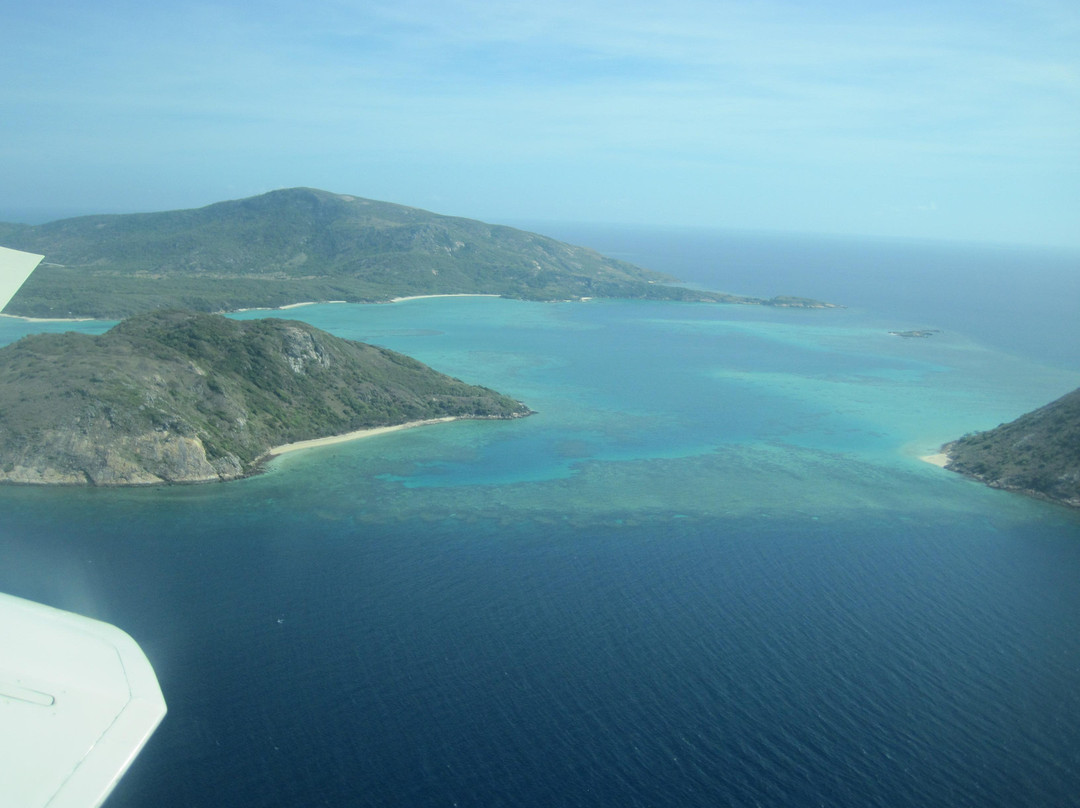 Cod Hole-蜥蜴岛必去景点