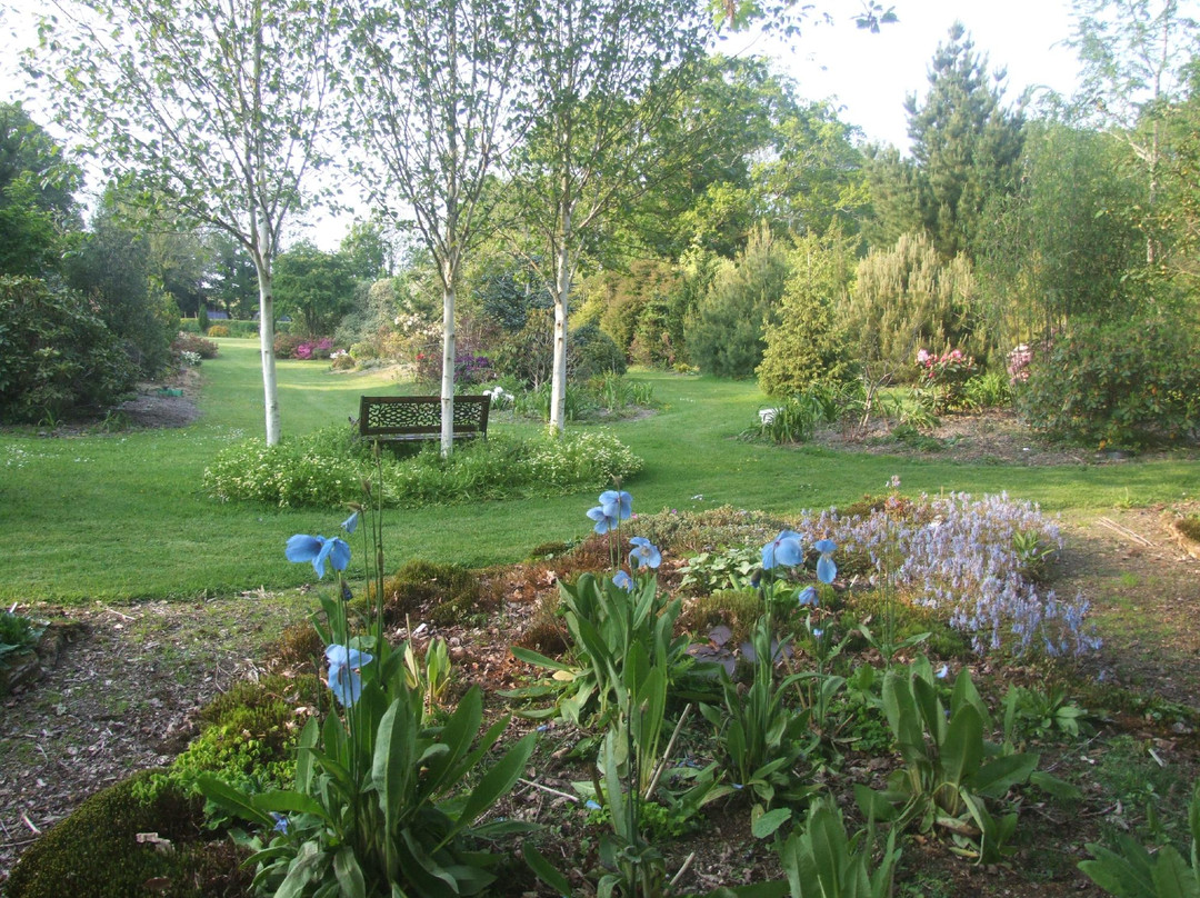 Llwyngarreg Garden景点图片