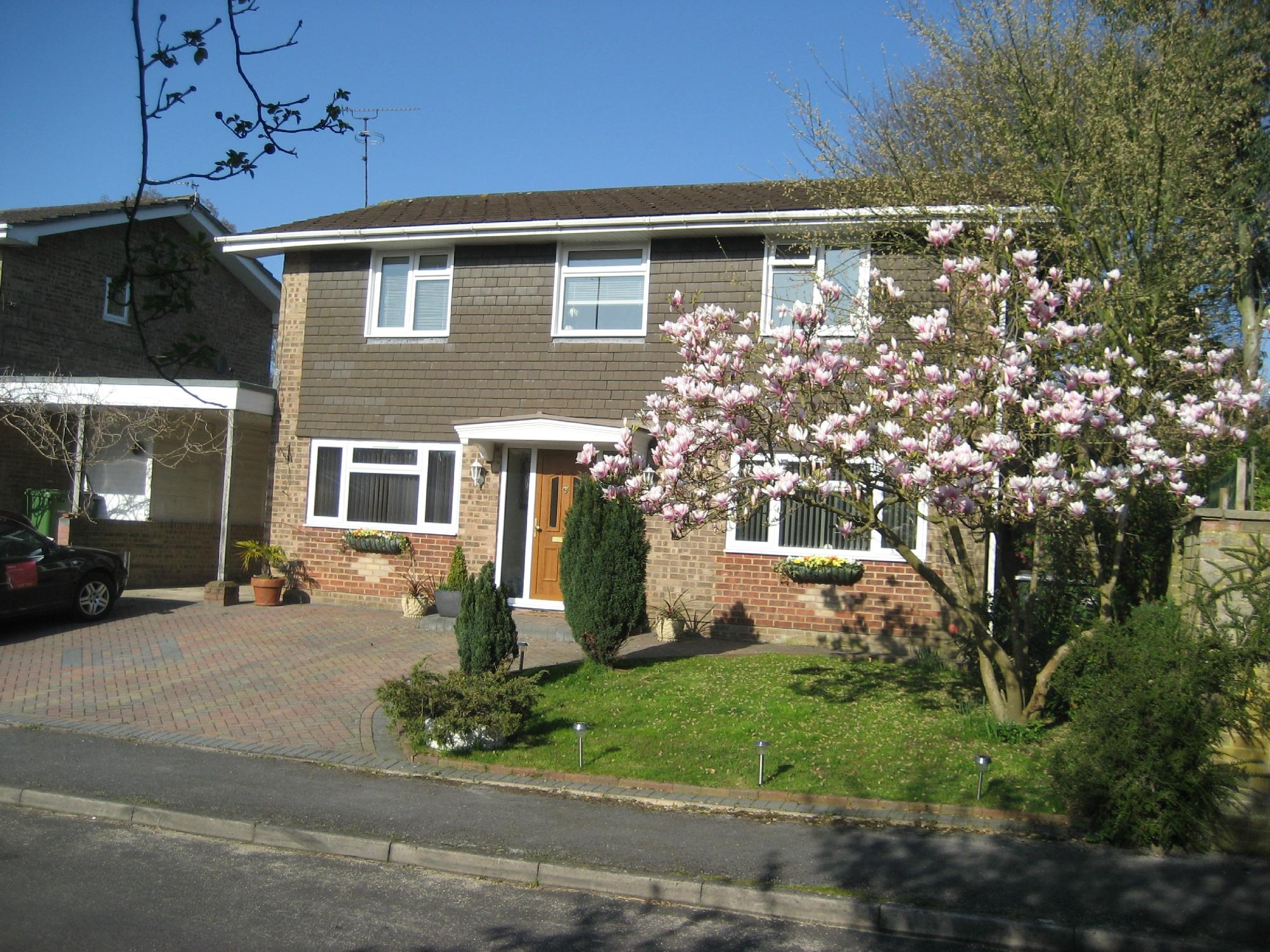 Oak Tree House-官方