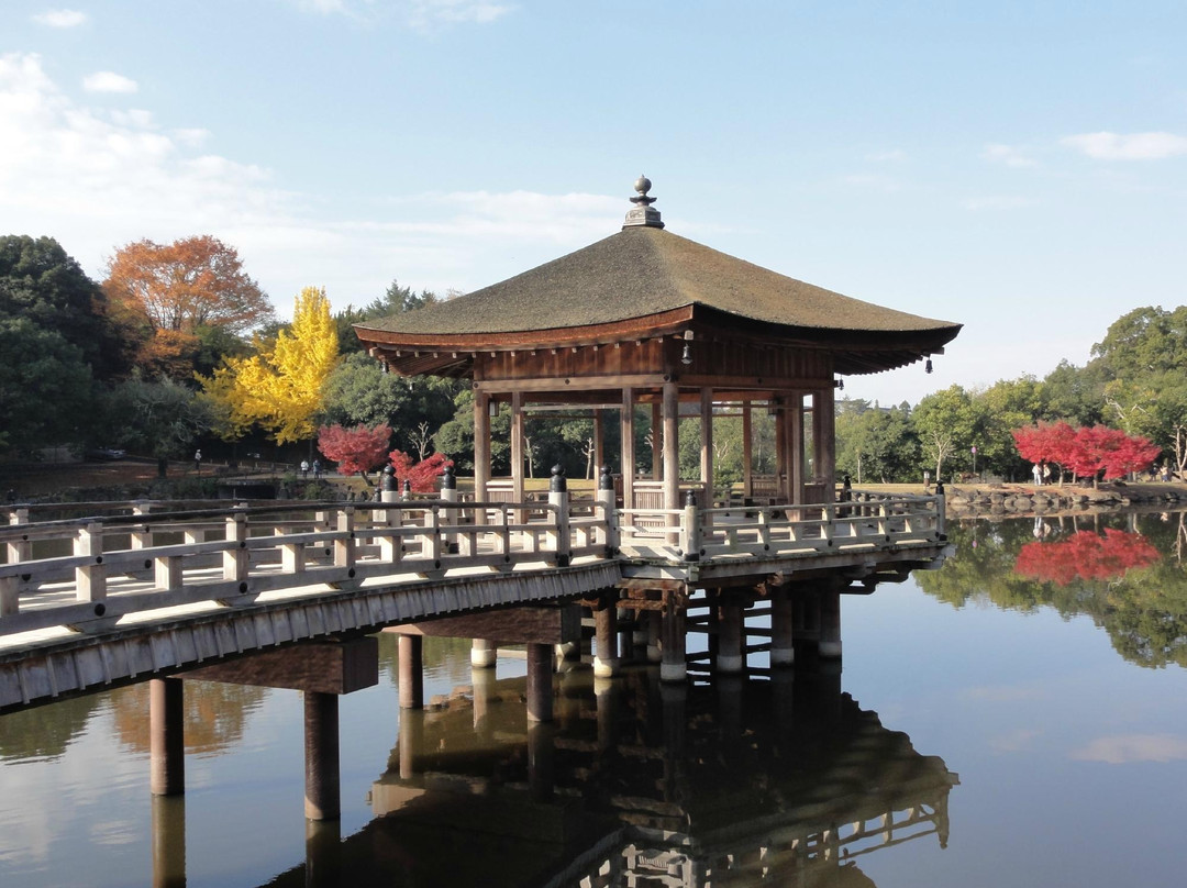 奈良公园-奈良市必去景点