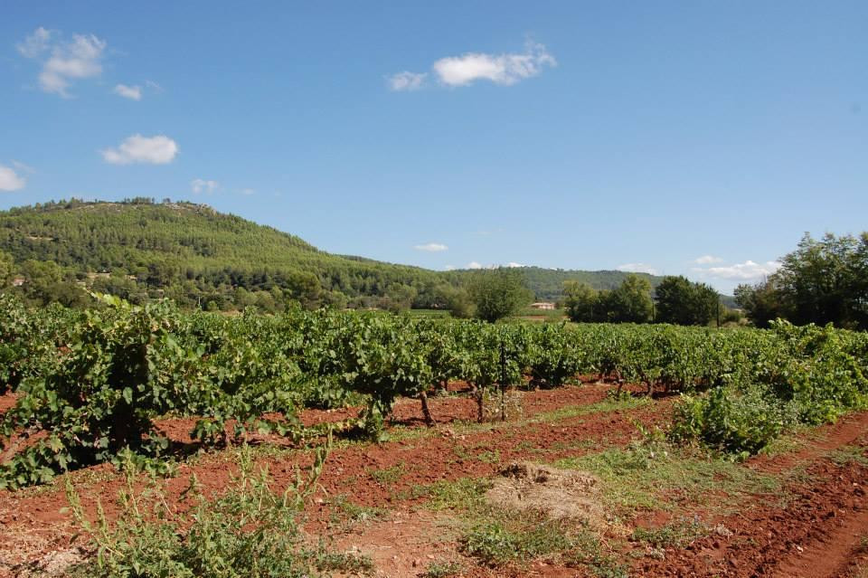 Wine Tours Provence & Riviera-Cogolin必去景点