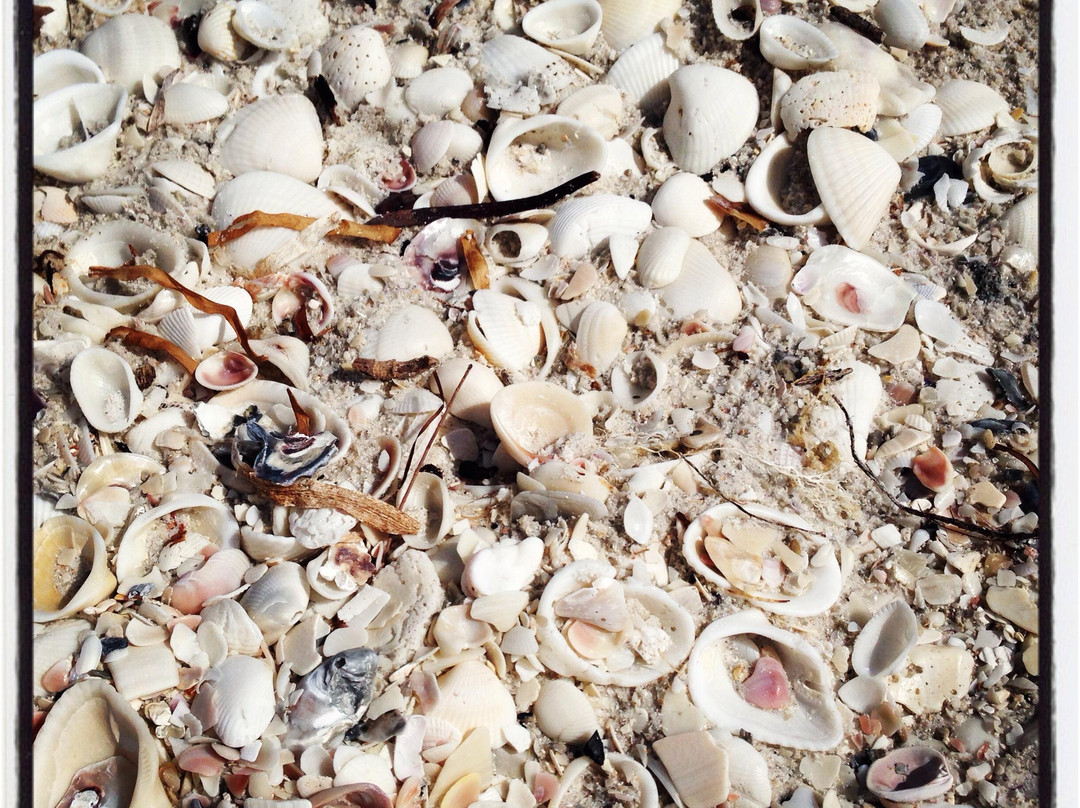 Little Hickory Beach Park-博尼塔斯普林斯必去景点