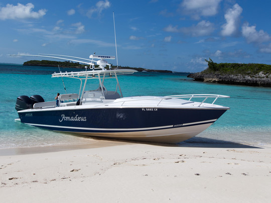 Ivy League Scuba-朱庇特必去景点