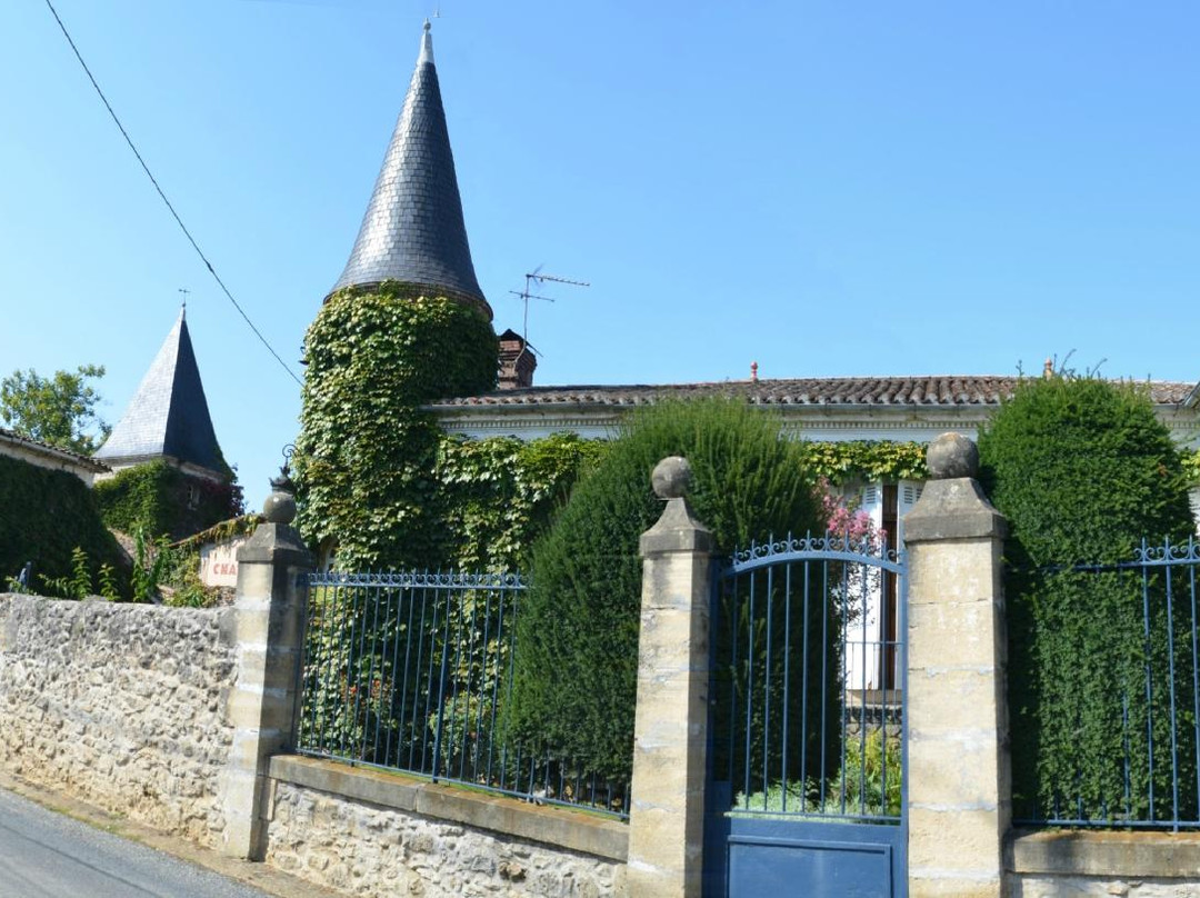 Chateau Gravas景点图片