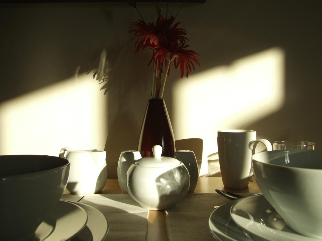 Tasman Bed and Breakfast主图